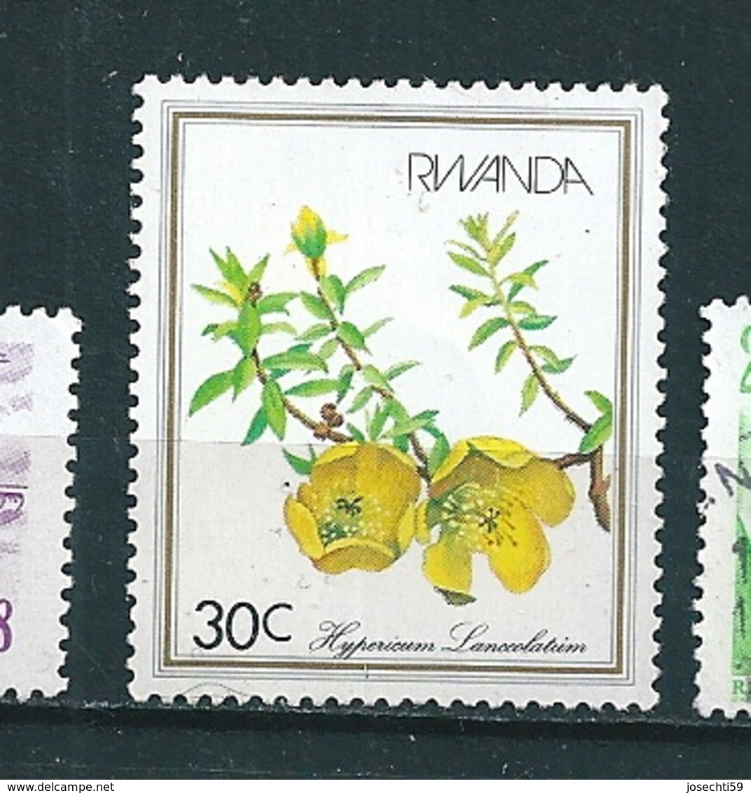 N°  1048 Fleur 30 C Timbre 	Rwanda  Oblitéré 1982 - Usados
