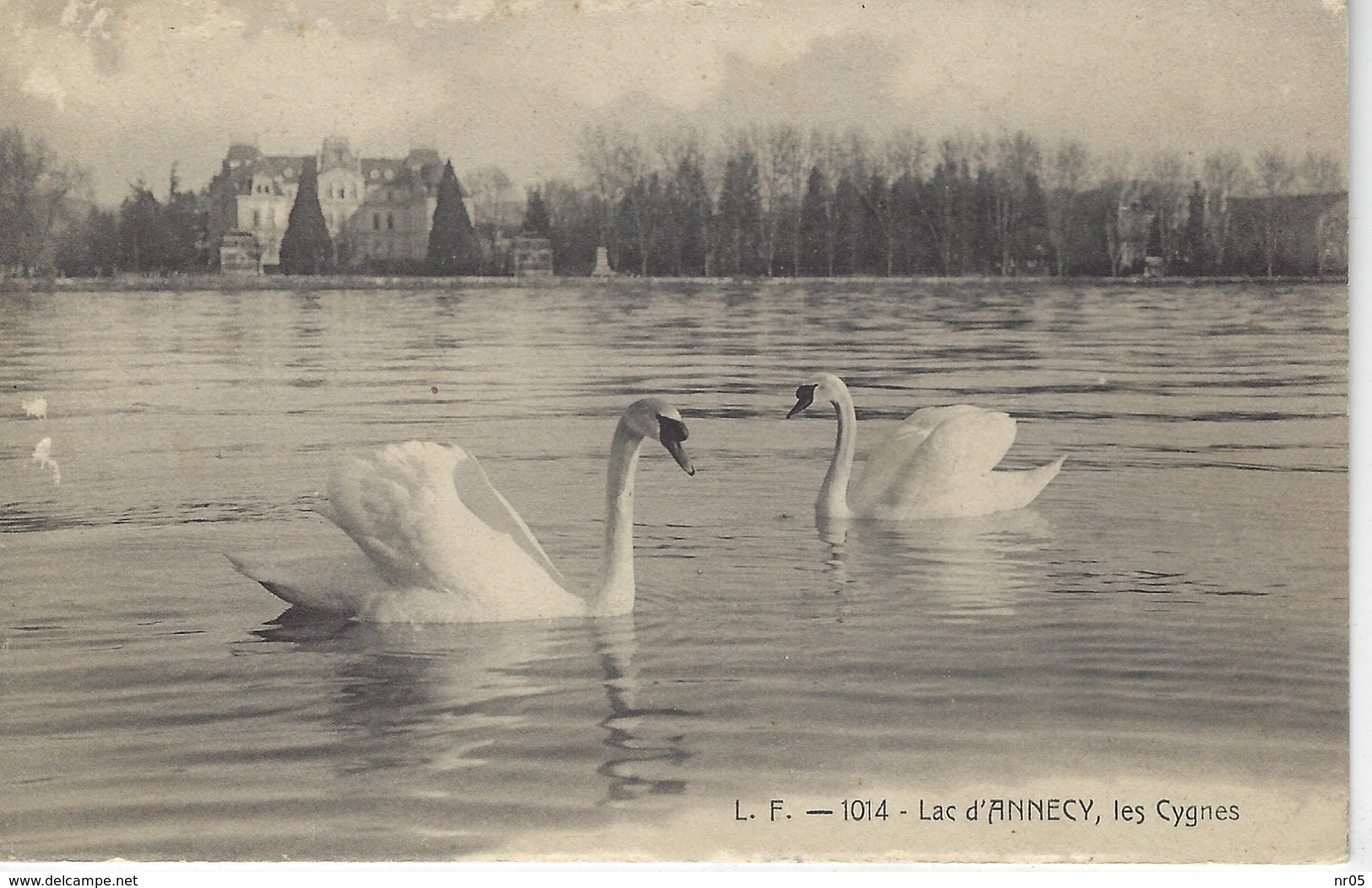 74 (  Haute Savoie ) - Lac D'ANNECY - Les Cygnes - Annecy