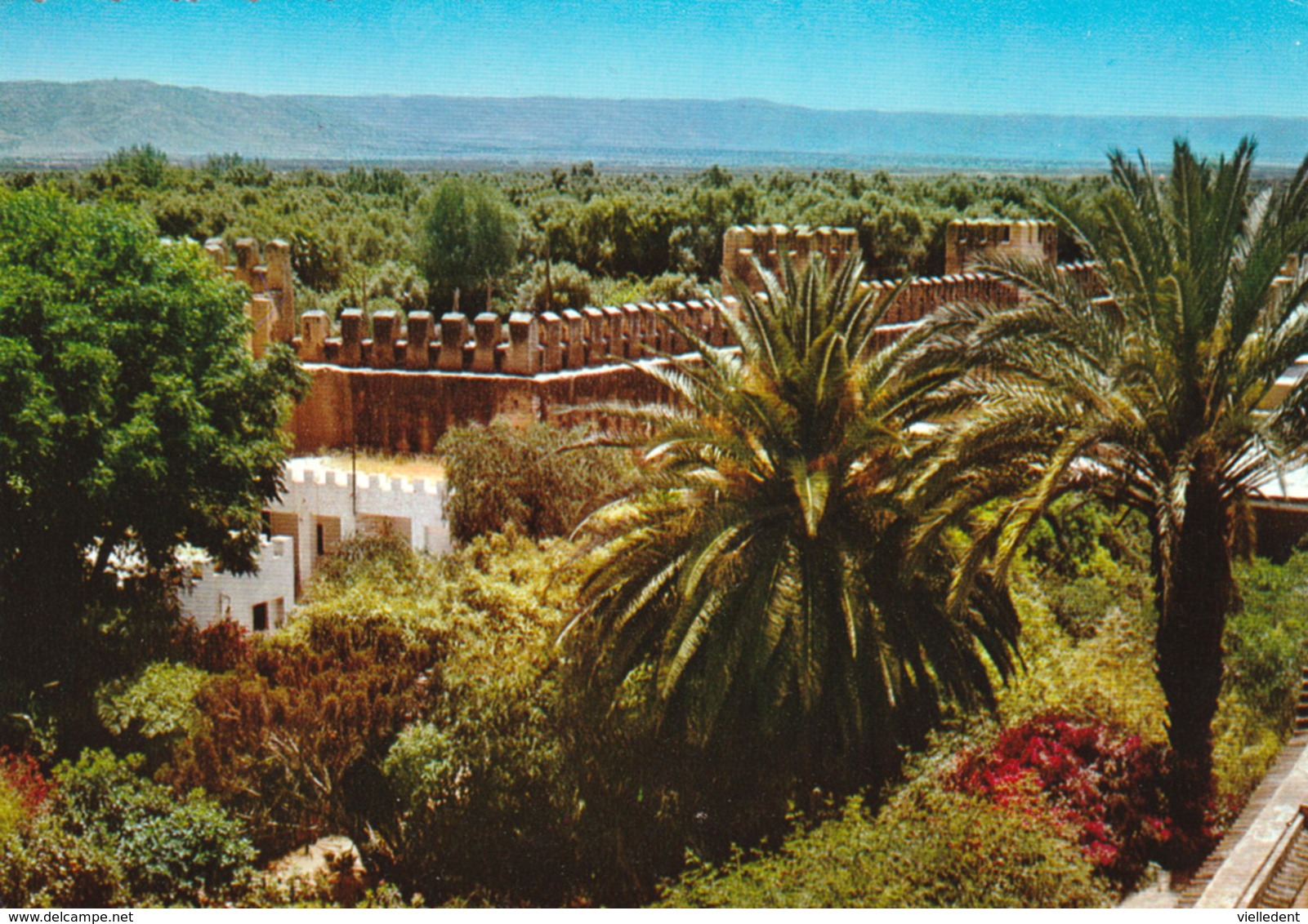 TAROUDANT (Maroc)  - KASBAT  - Carte Moderne Rare - Très Bon état - 2 Scans - Autres & Non Classés