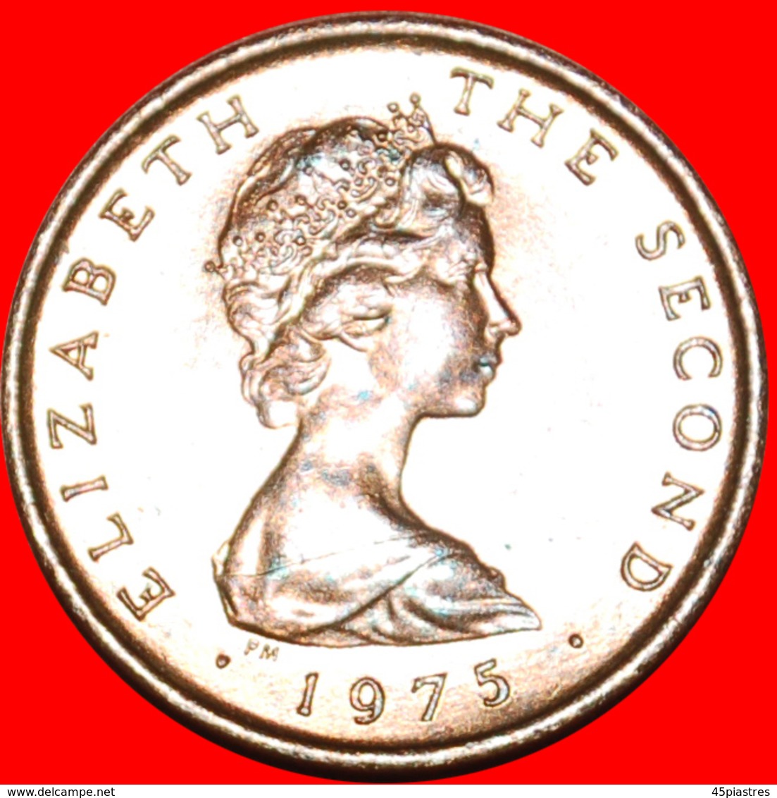 # FLOWER: ISLE OF MAN ★1/2 NEW PENNY 1975PM MINT LUSTER! LOW START ★  NO RESERVE! - Isle Of Man
