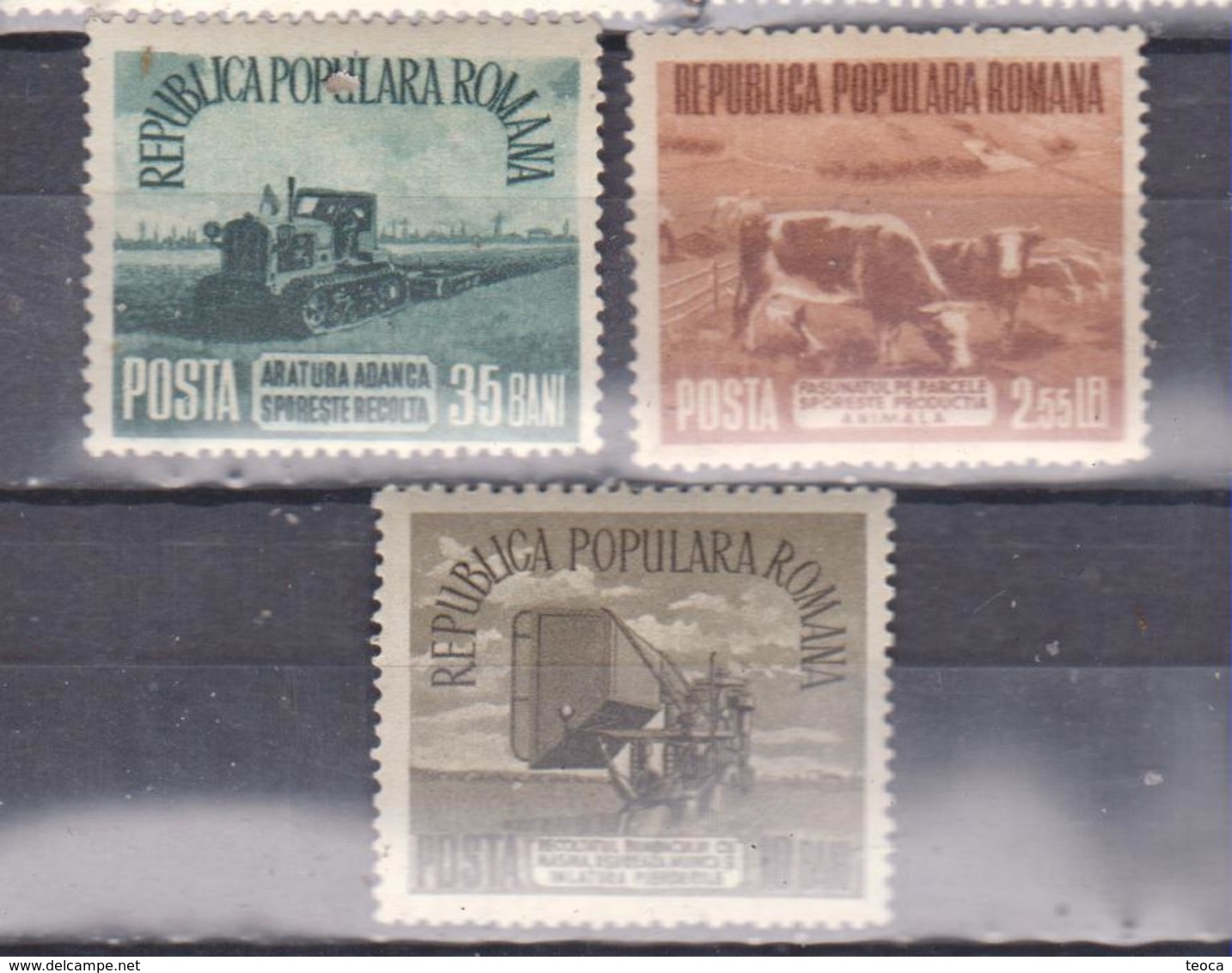 AGRICULTURE, COWS, TRACTOR, ROMANIA 1955, MI 1459-61, - Unused Stamps