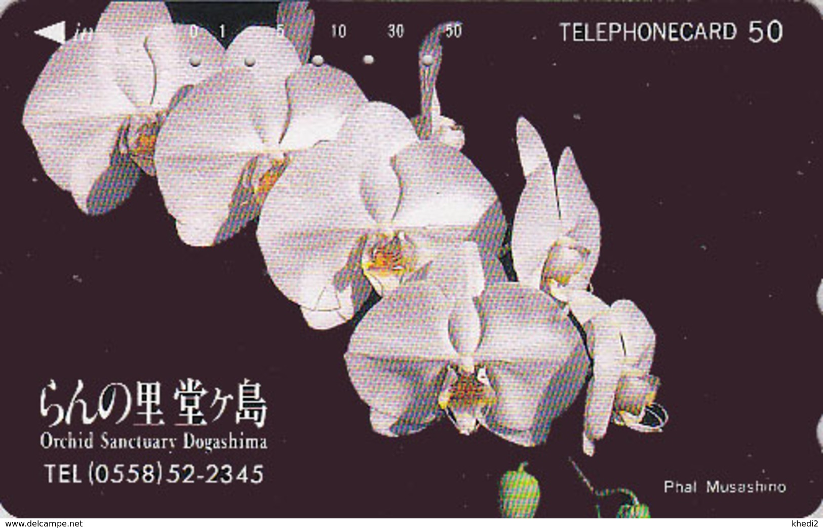 Télécarte Japon / 290-30045 - Fleur ORCHIDEE - DOGASHIMA ORCHID SANCTUARY - Flower Japan Phonecard - ORQUIDEA - 2340 - Fleurs