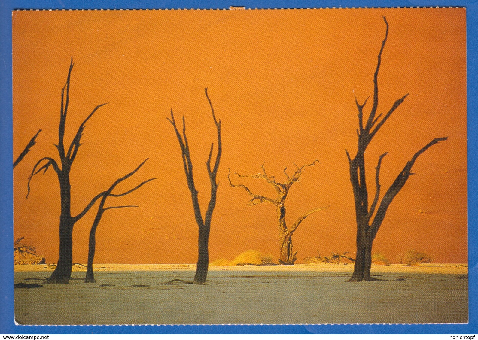 Namibia; Namibrand; Dead Vlei - Namibië