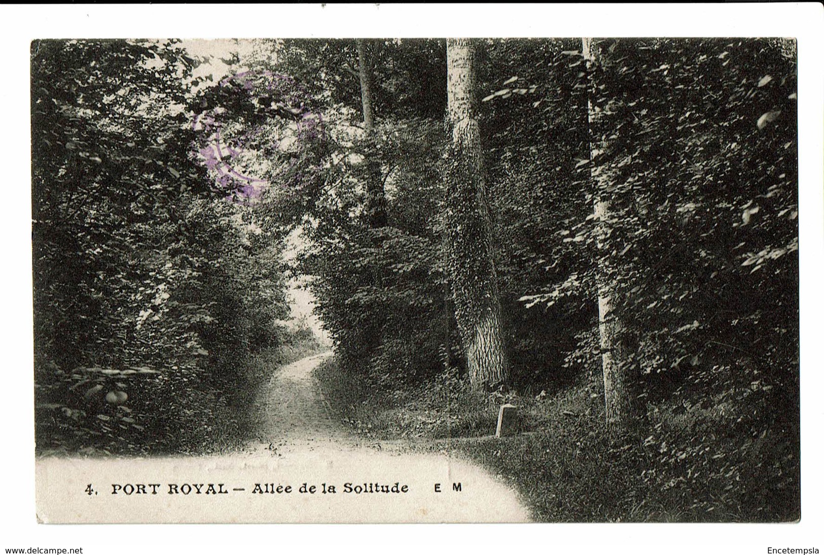 CPA - Cartes Postales -Jamaiques-Port Royal-Allée De La Solitude -S3546 - Autres & Non Classés