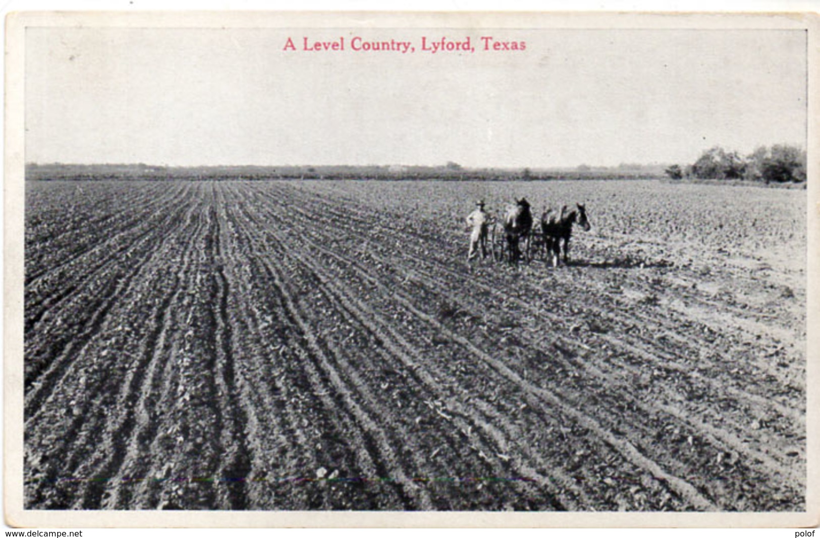 A Level Country, Lyfort - Texas - Scène De Labour   (Attelage)(110082) - Autres & Non Classés