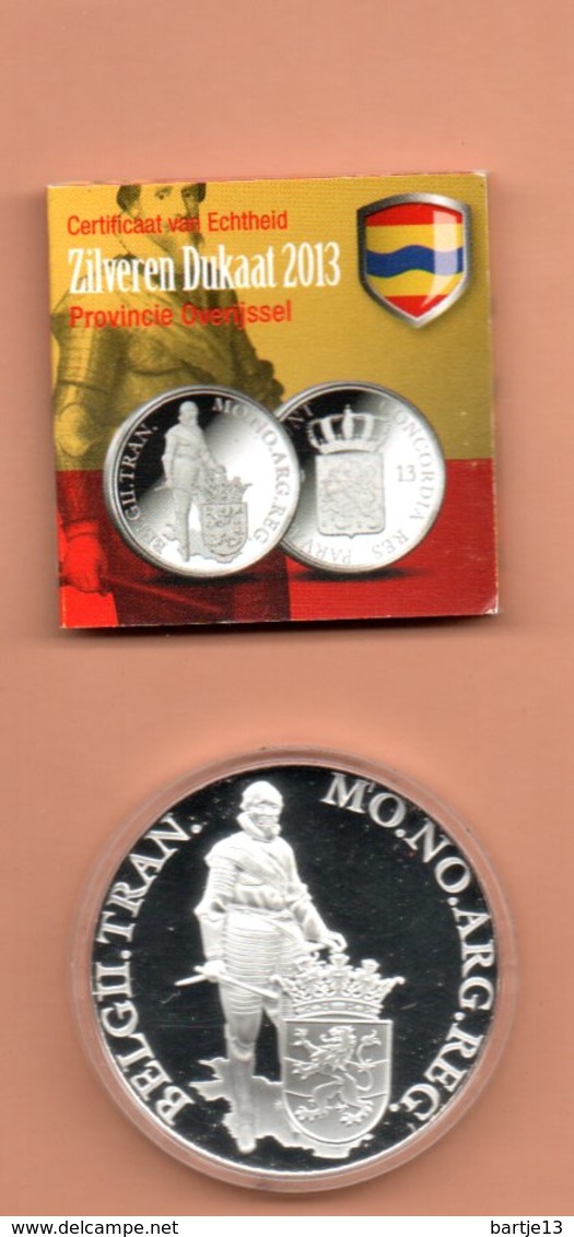 NEDERLAND DUKAAT PROVINCIE OVERIJSSEL 2013 ZILVER PROOF SMALL MINTAGE - 1980-2001 : Beatrix