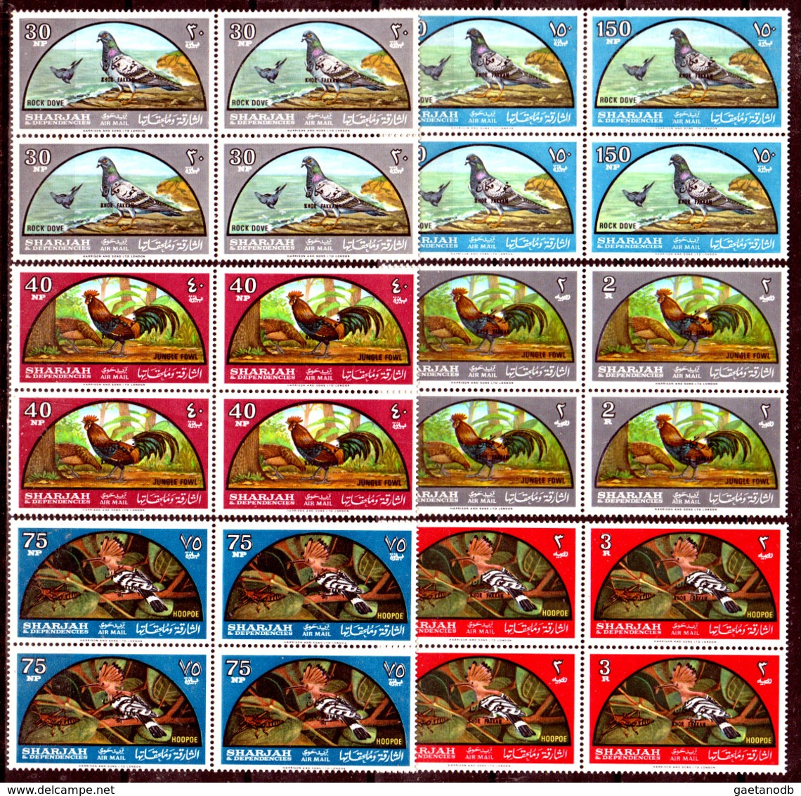 Sharjah-0002 - Posta Aerea: Fauna Avicola Indigena 1965 (++) MNH - Senza Difetti Occulti. - Altri - Asia