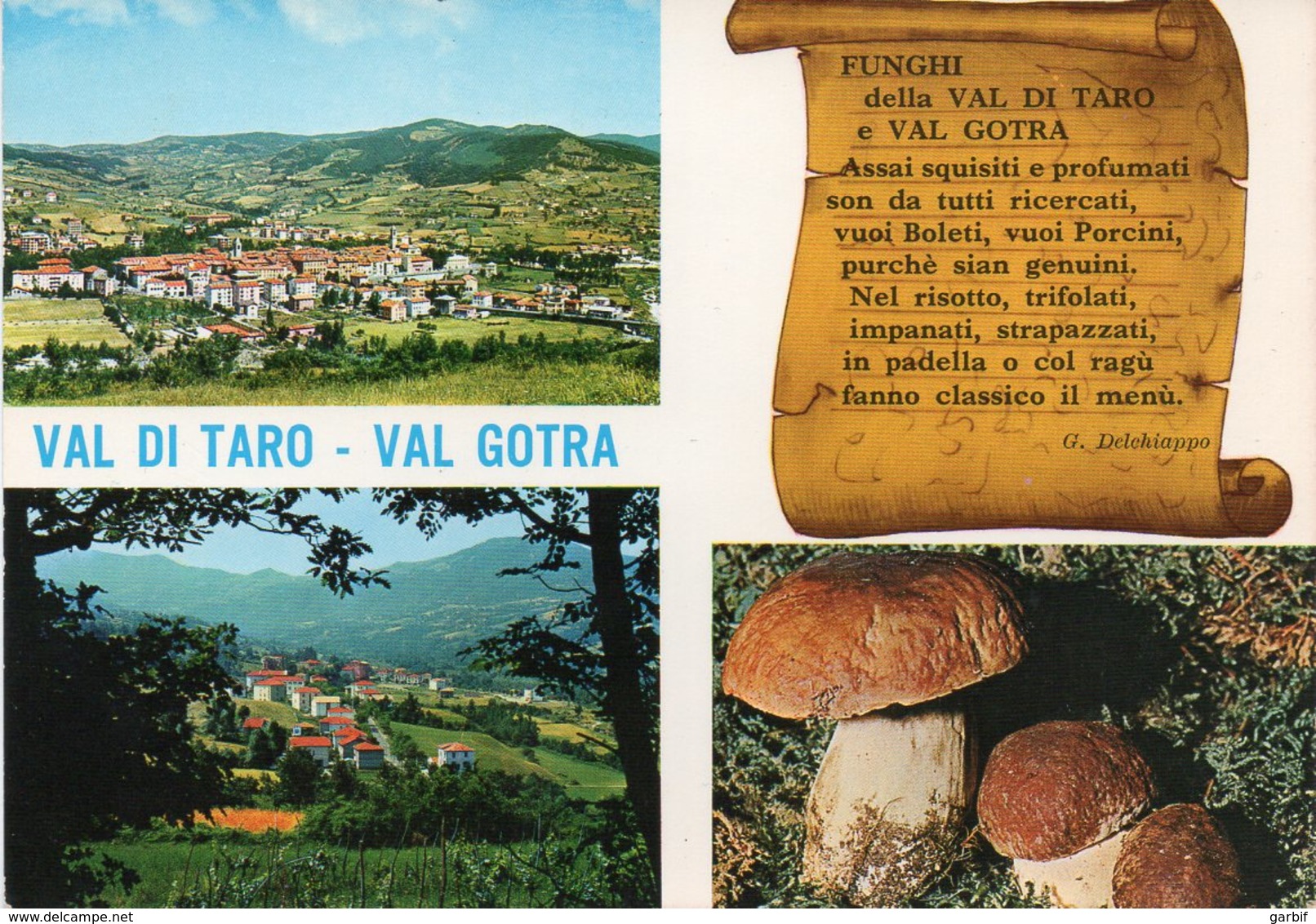 Parma - Val Di Taro - Val Gotra - Funghi - Fg - Parma