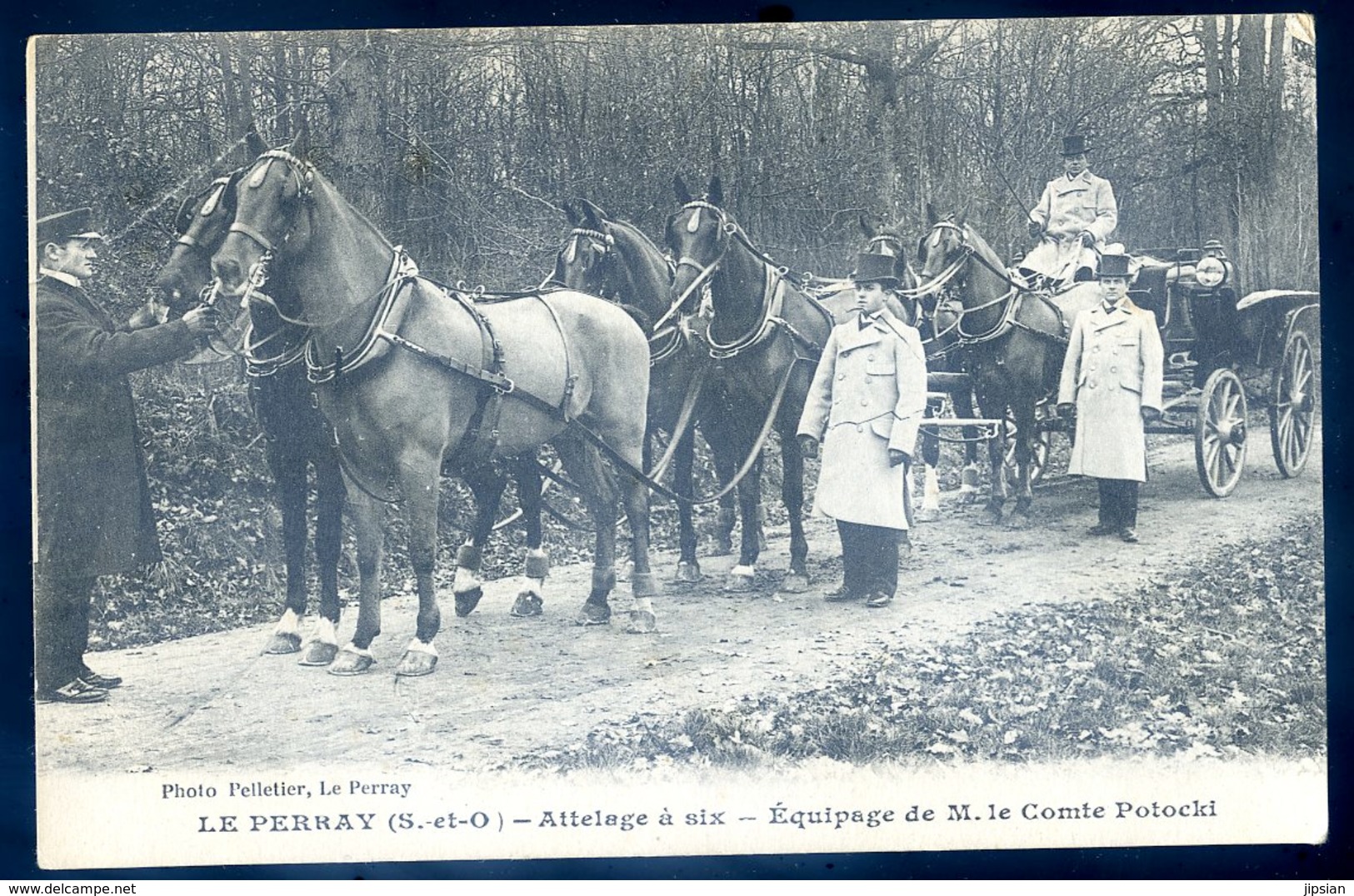 Cpa Du 78  Le Perray Attelage à Six -- équipage De M. Le Comte Potocki     GX29 - Le Perray En Yvelines