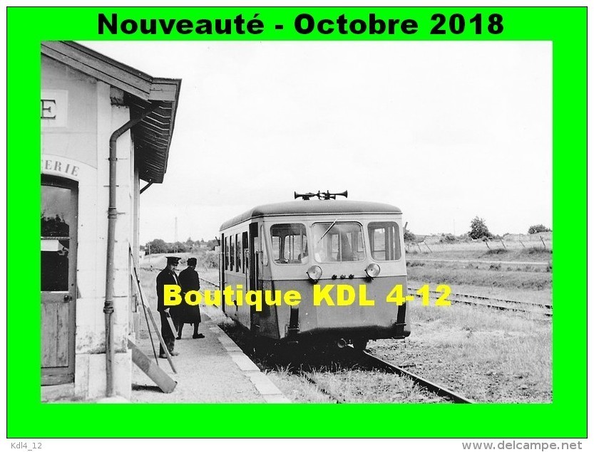 AL 543 - Autorail Billard N° 902 En Gare - LIGRE RIVIERE - Indre Et Loire - CFD - Autres & Non Classés