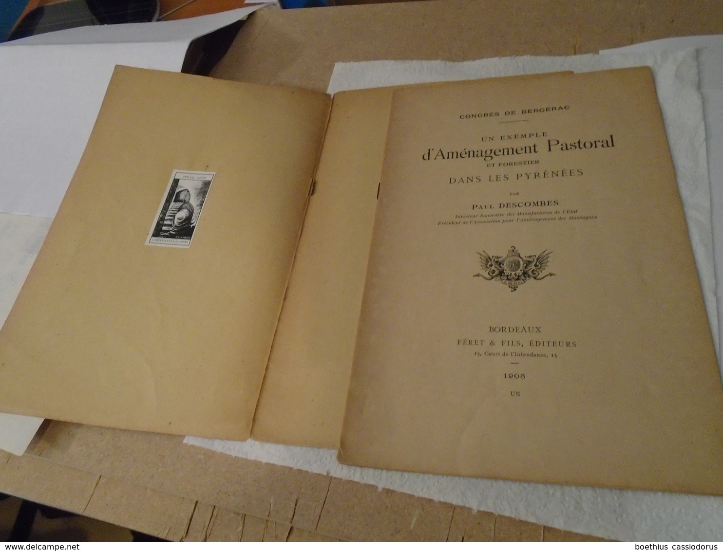 UN EXEMPLE D'AMENAGEMENT PASTORAL ET FORESTIER DANS LES PYRENEES  Par PAUL DESCOMBES  1906 - Midi-Pyrénées
