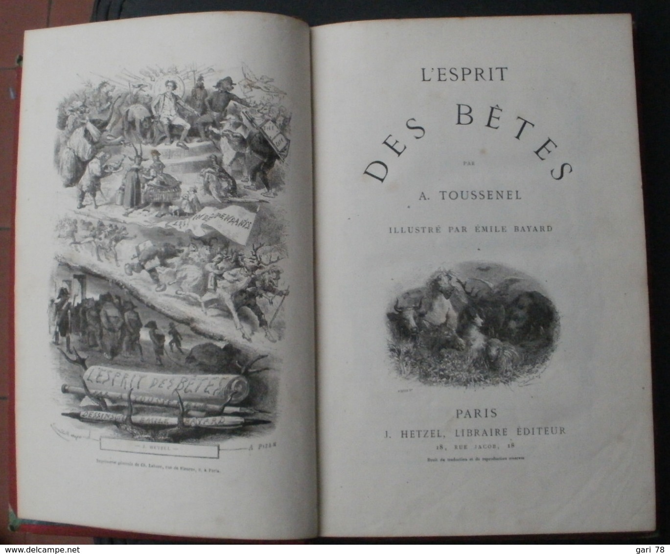 A TOUSSENEL L'esprit Des Betes - 1801-1900
