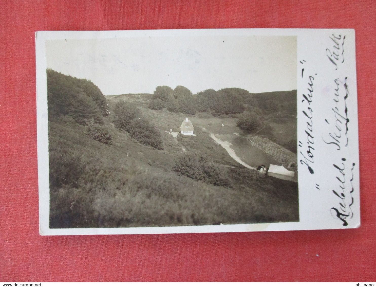 RPPC  Park     Denmark Stamp & Cancel      Ref. 3083 - Denmark