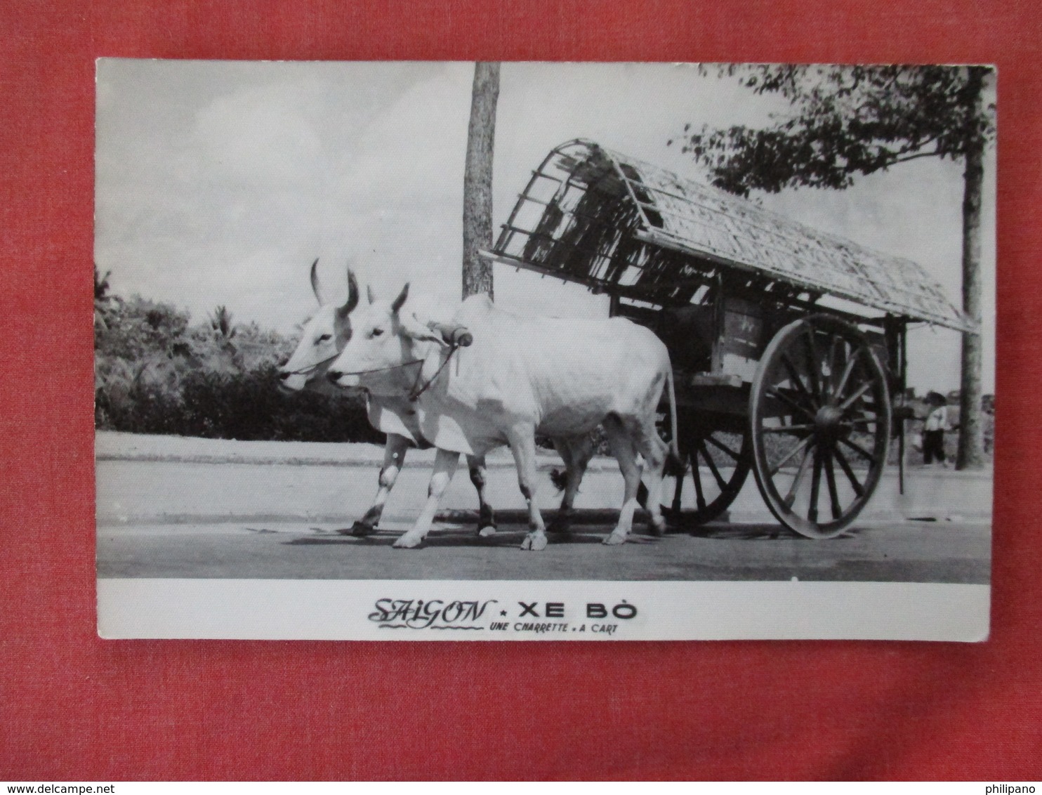 RPPC  Non Postcard-- Saigon  Oxen Cart            Ref. 3083 - Autres & Non Classés