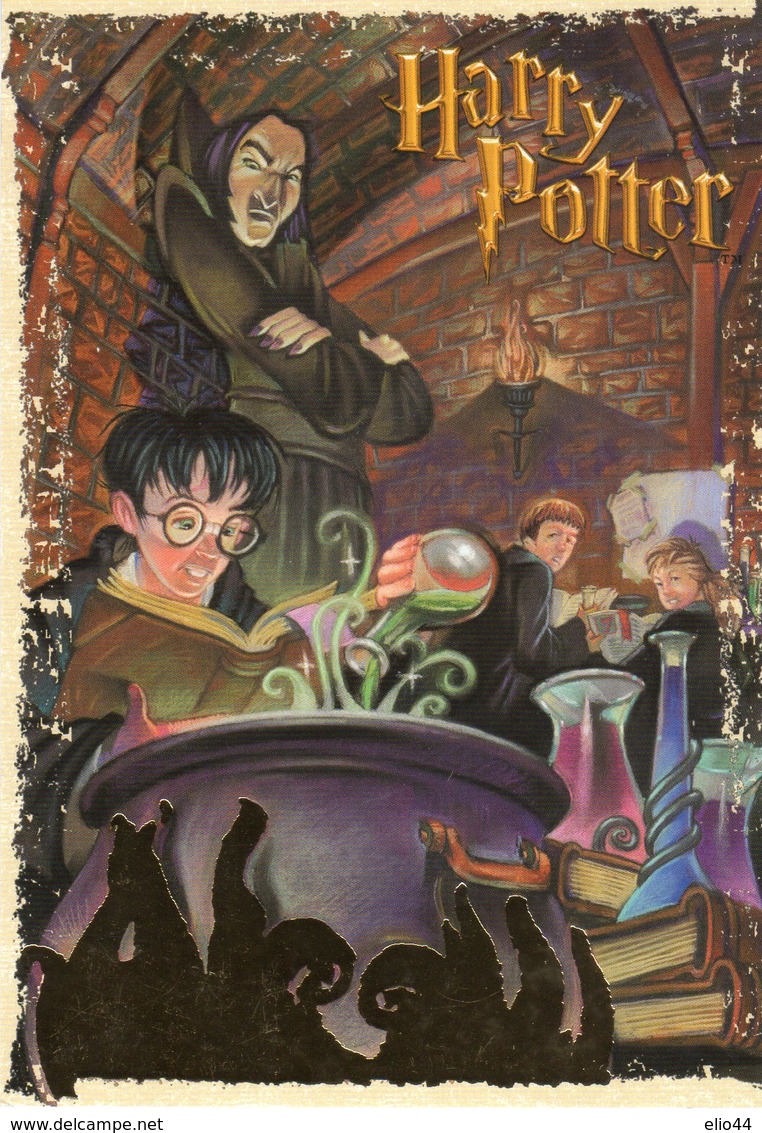 HARRY  POTTER - - Fumetti