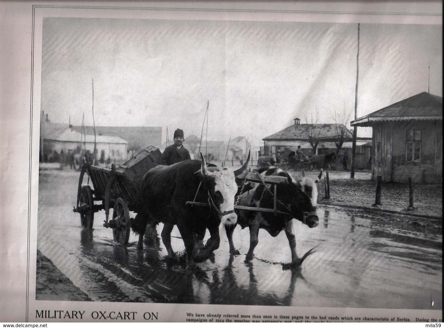 Nelson's Portfolio Of War Pictures. N° 16. 12 Juin 1915. Austro Serbian Campaign - Oorlog 1914-18