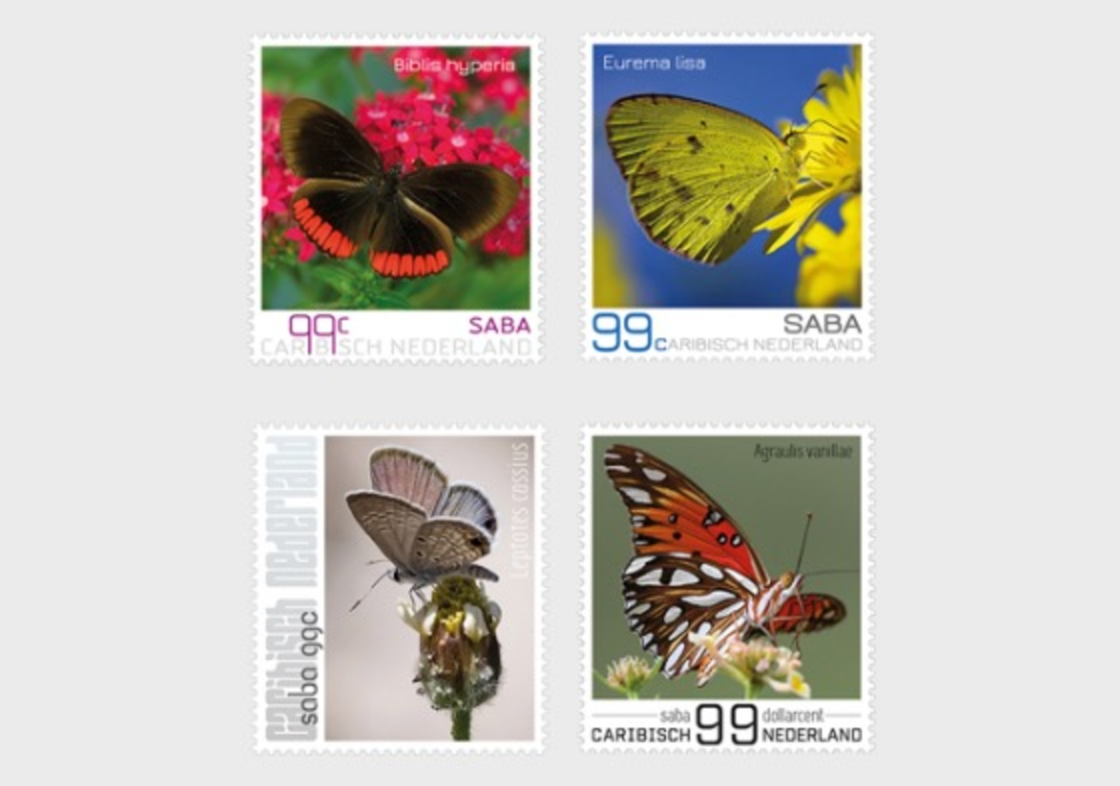 H01 Caribbean Netherlands 2017 Butterflies Of Saba MNH Postfrisch - Curaçao, Antille Olandesi, Aruba