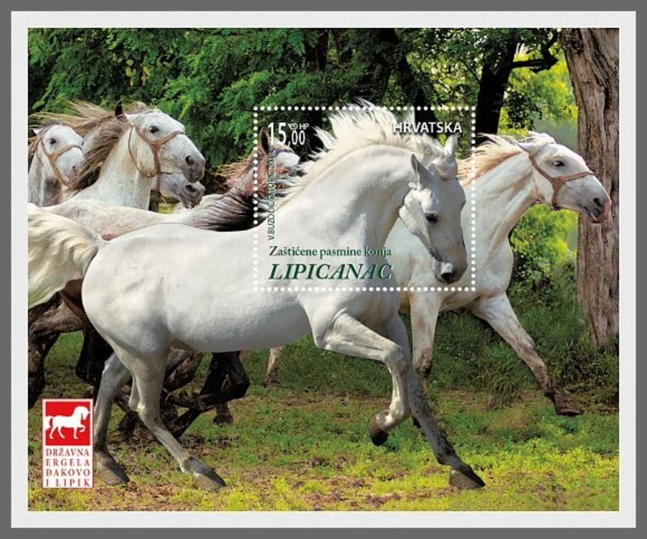 H01 Croatia 2018 Horse Breeds - Lipizzan MNH Postfrisch - Kroatien