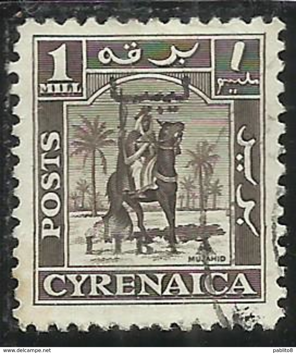 LIBIA LIBYA 1951 REGNO INDIPENDENTE EMISSIONE PER LA CIRENAICA CYRENAICA 1m USATO USED OBLITERE' - Libia