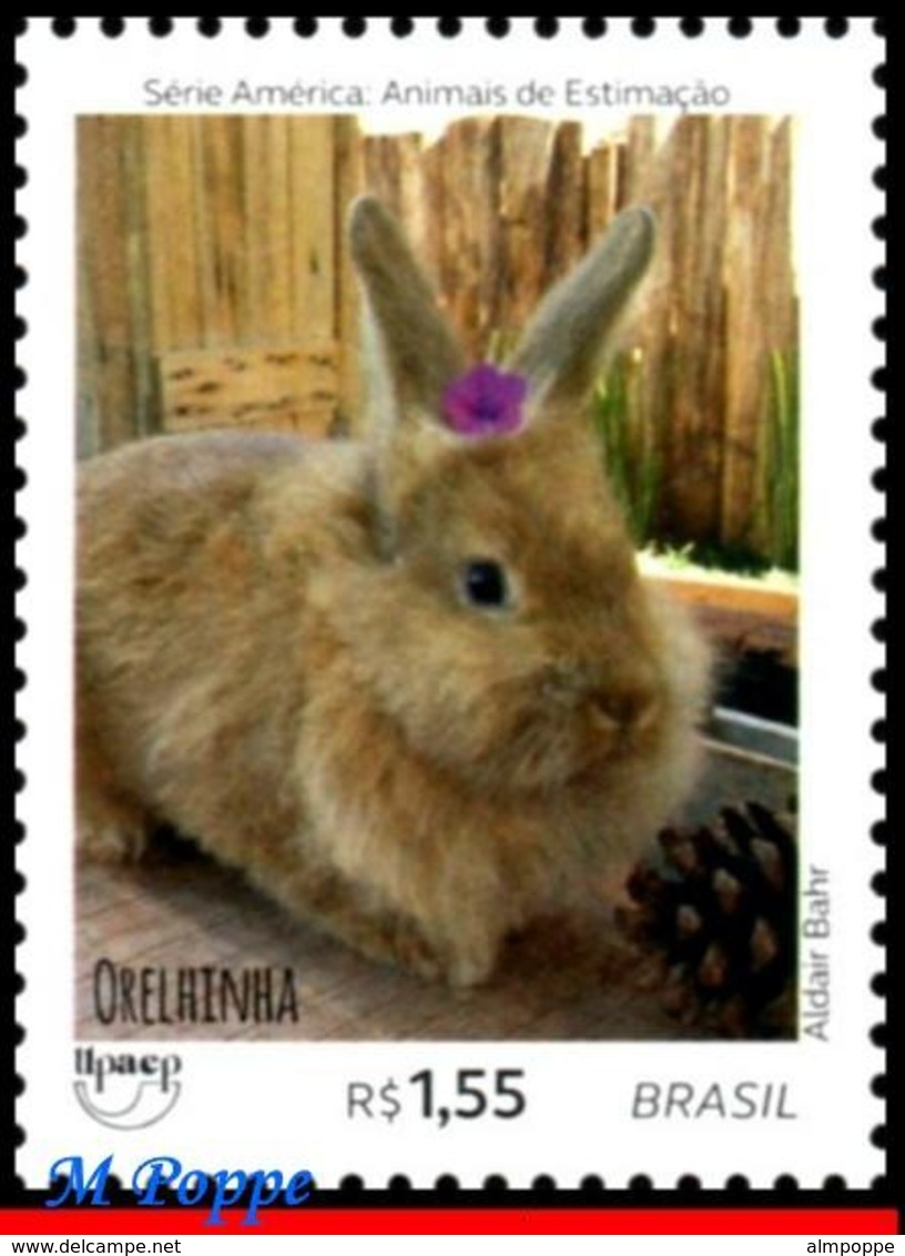 Ref. BR-V2018-09-3 BRAZIL 2018 - ANIMALS, FAUNA, PETS, UPAEP, AMERICA, SERIES, RABBIT, MNH,1V - Unused Stamps