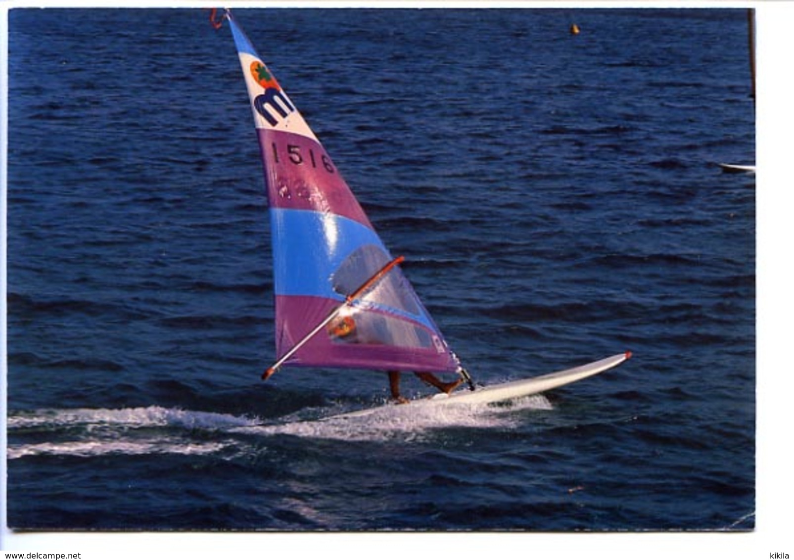 CPSM / CPM  10.5 X 15 Windsurfers En Méditerranée     Planche à Voile - Autres & Non Classés