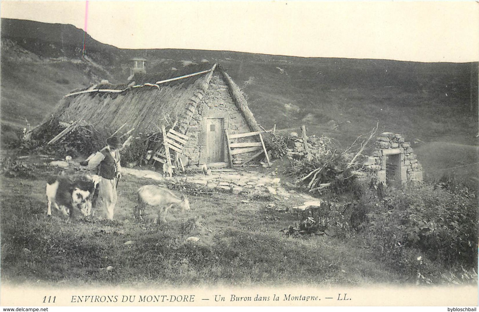 CPA 63 PUY DE DOME Environs Du Mont-Dore - Un Buron Dans La Montagne - LL. 111 - Neuve - Troupeau Chèvres - Le Mont Dore