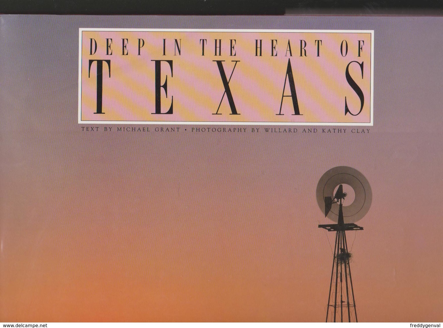 TEXAS - Stati Uniti