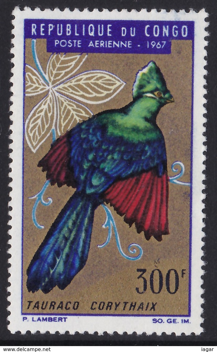 TEMATICA UCCELLI - CONGO