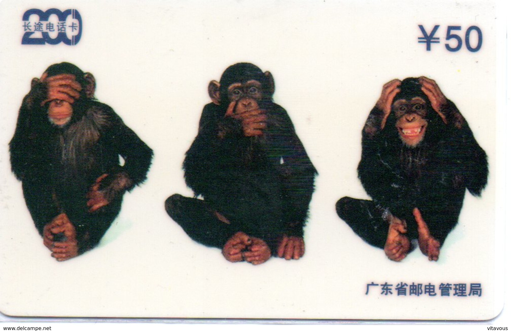 Singe Monkey Télécarte Magnétique Chine Phonecard (D 491) - Chine