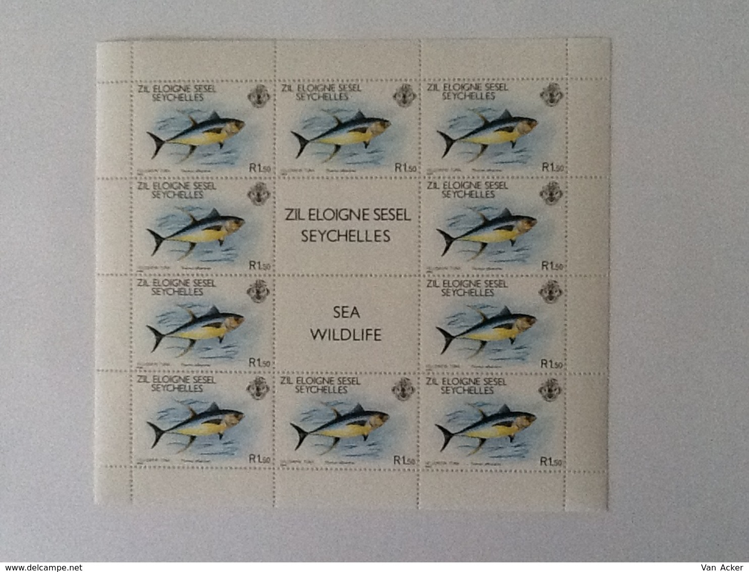 Seychellen 3 Sheets Wild  Sea Life 1980 MNH - Seychelles (1976-...)