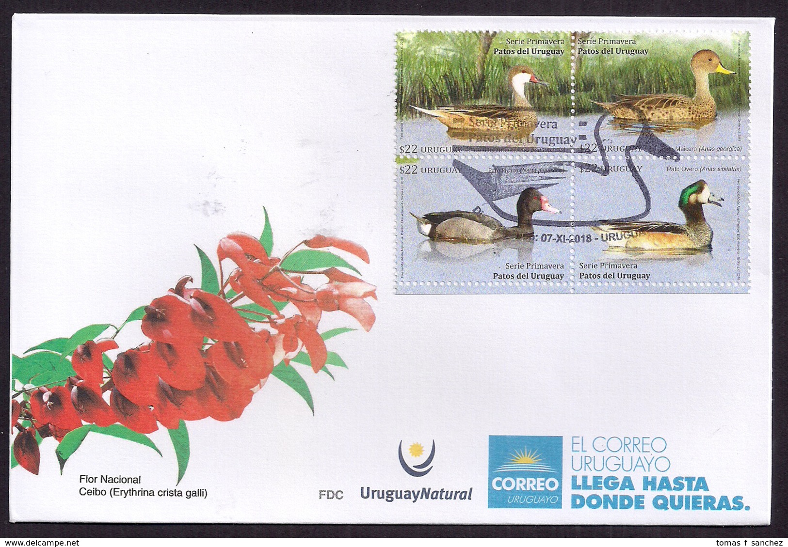 Uruguay - 2018 -  FDC - Série Printemps - Canards D'Uruguay - Canards - Uruguay