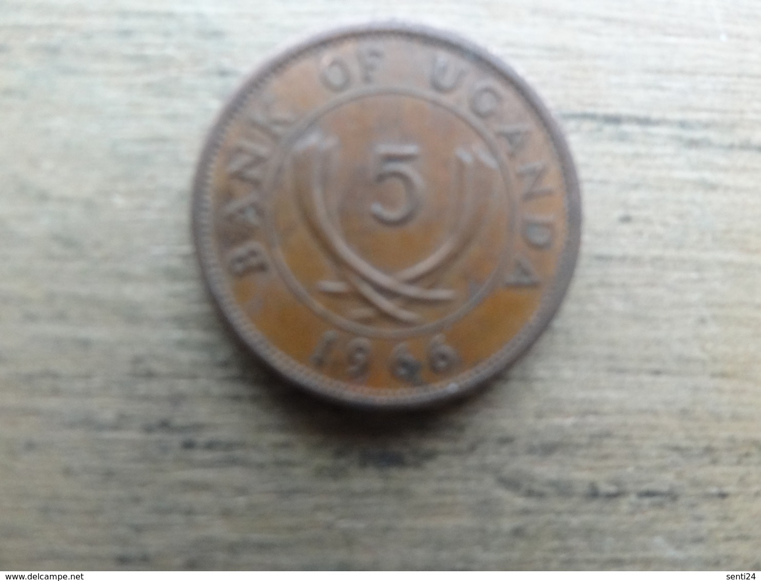 Ouganda  5  Cents  1966  Km 1 - Ouganda