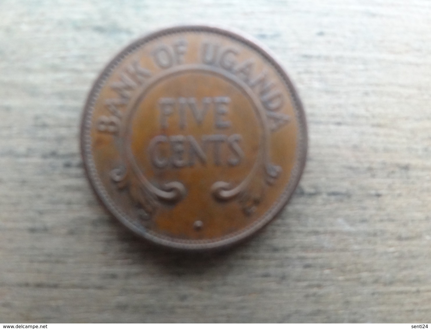 Ouganda  5  Cents  1966  Km 1 - Ouganda