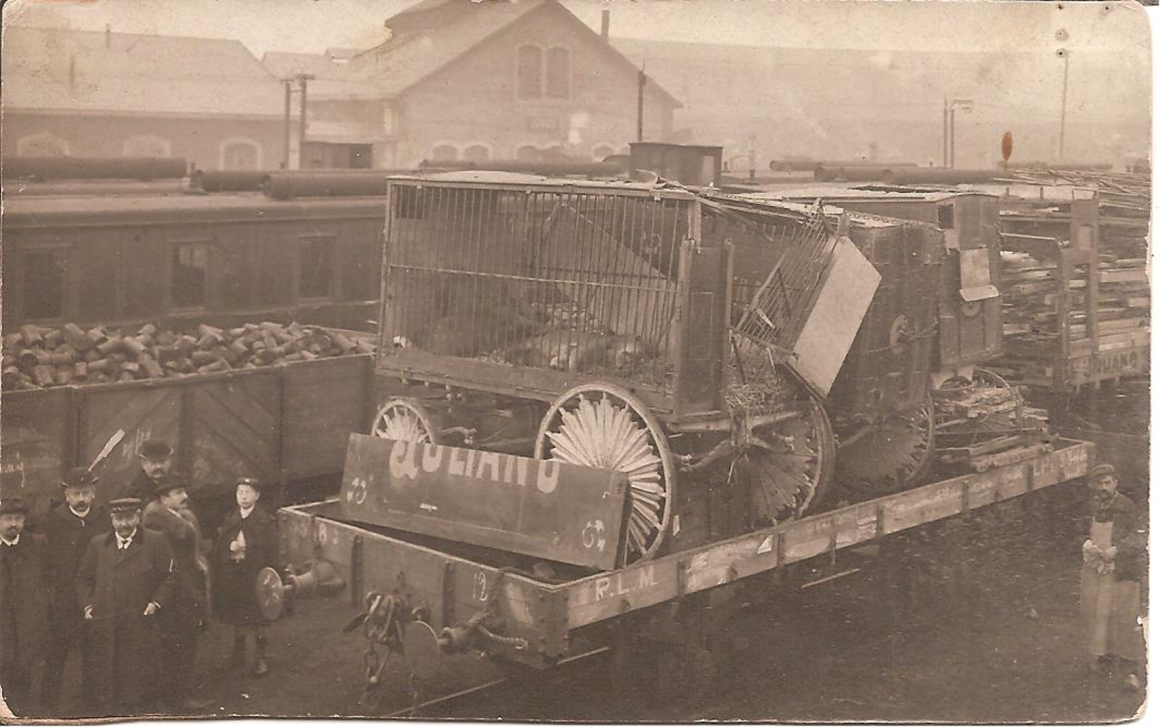 ROANNE (42) Rare Carte Photo Du Lion Du Cirque Juliano Tué Et Ramené En Gare Suite à Déraillement Du Train Du 20.01.1906 - Roanne