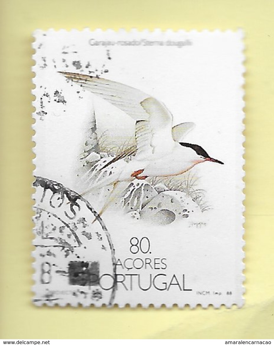 TIMBRES - STAMPS - SELLOS - PORTUGAL (AÇORES)-1988- OISEAUX -  Sterna Dougallii - TIMBRE OBLITÉRÉ CLÔTURE DE SÉRIE - Hirondelles