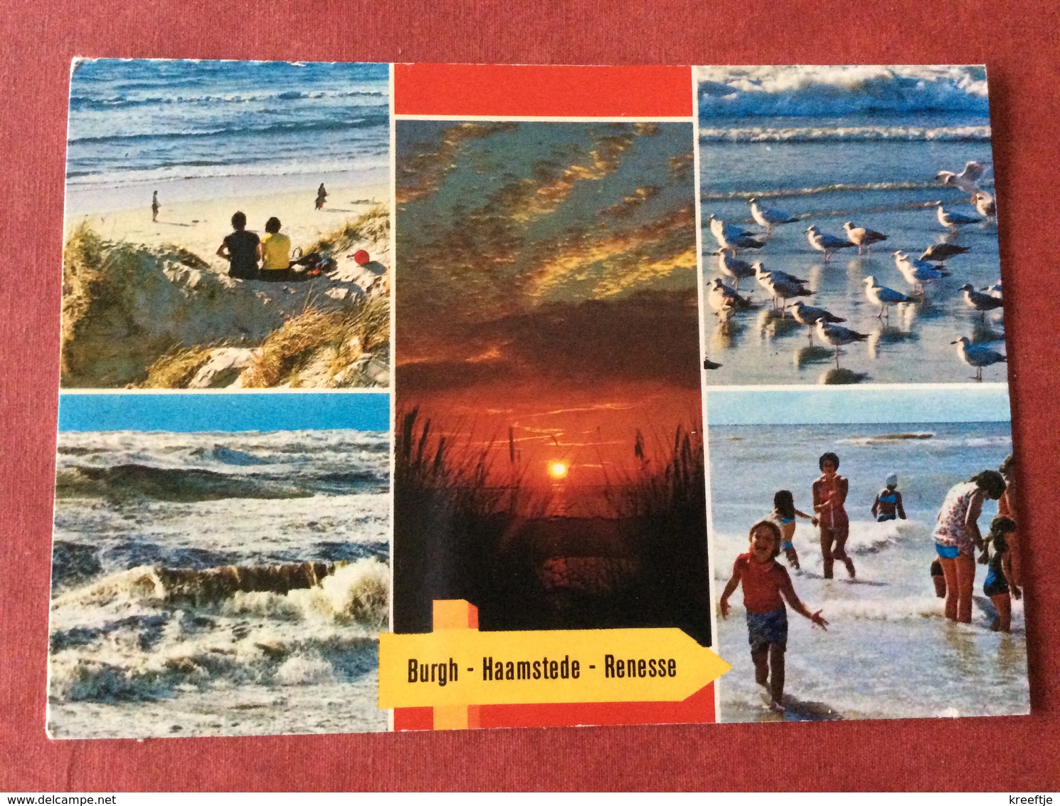 Nederland. Pays-Bas. Holland. Burgh-Haamstede. Renesse ( Vogel Meeuw ) - Renesse