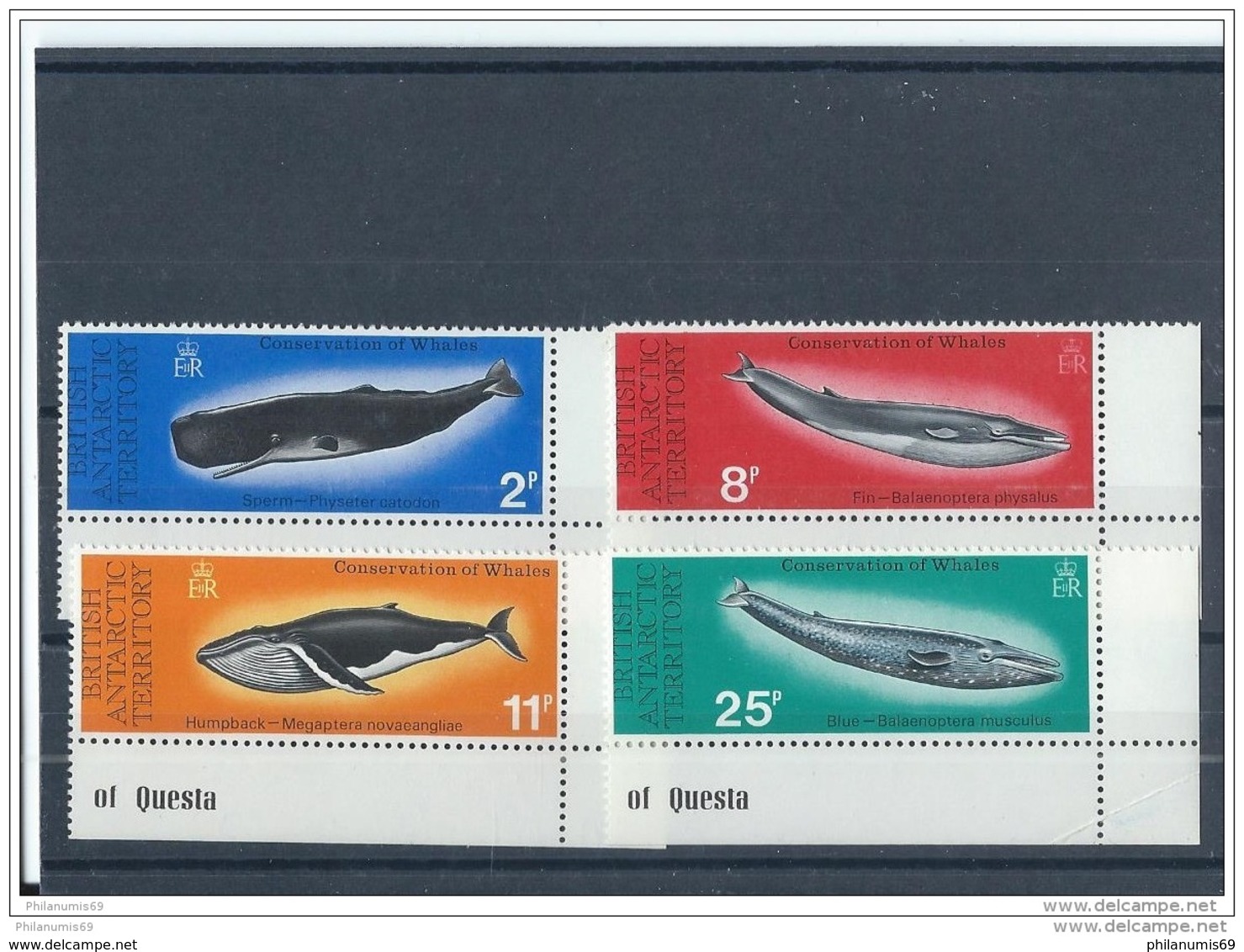 ANTARCTIQUE BRITANNIQUE 1977 - YT N° 64/67 NEUF SANS CHARNIERE ** (MNH) GOMME D'ORIGINE LUXE - Unused Stamps