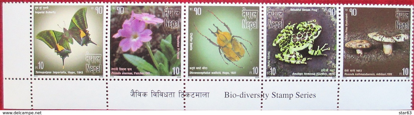 Nepal  2006  Mushrooms  Fauna Flora  5 V  MNH - Népal