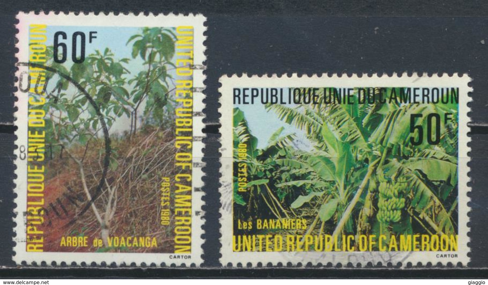 °°° CAMERUN - Y&T N°656/58 - 1980 °°° - Camerun (1960-...)