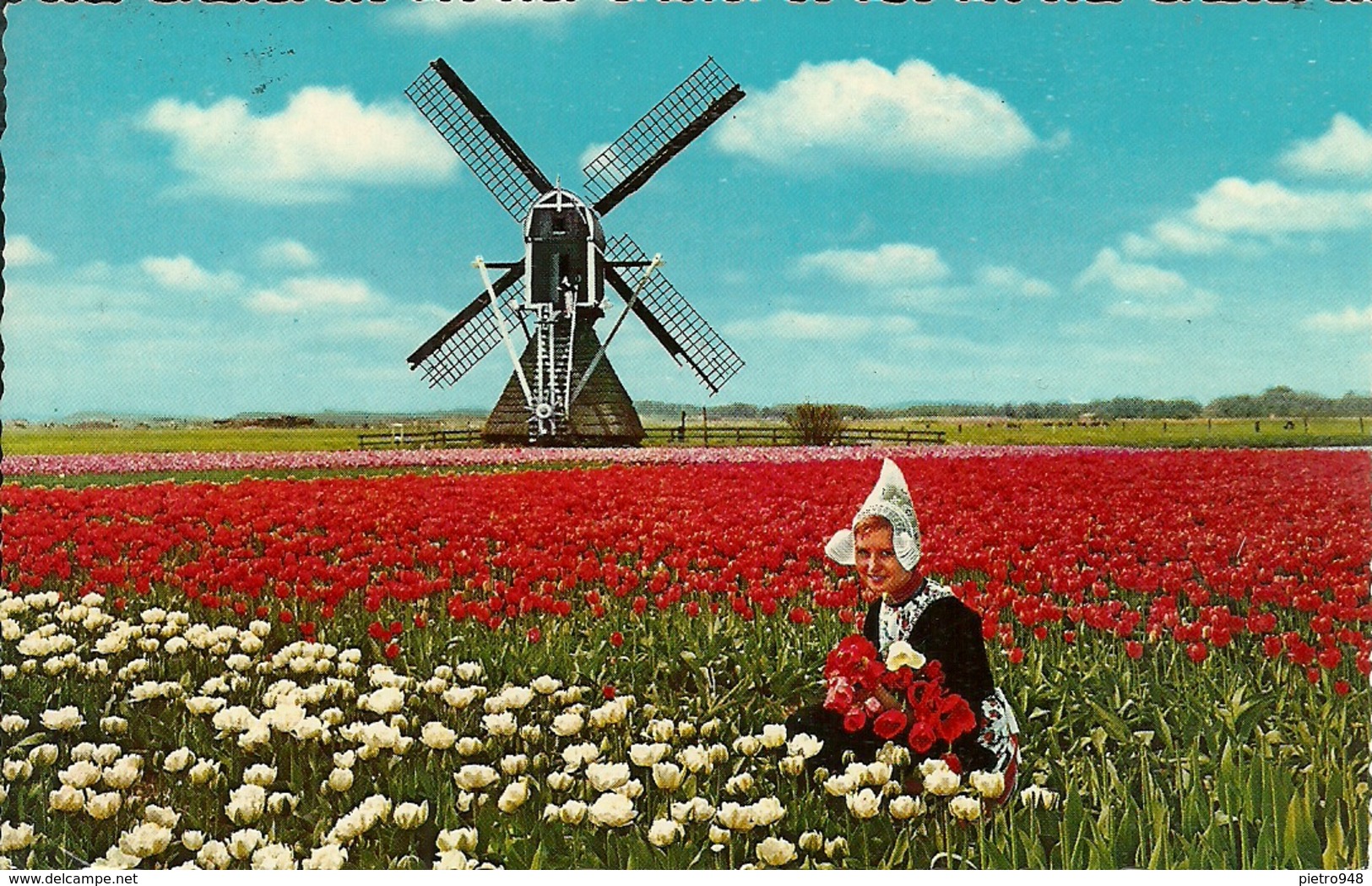 Holland (Paesi Bassi) Bloomenland, Molenland, Land Of Flowers And Wind-Mills, Mulino A Vento - Altri & Non Classificati