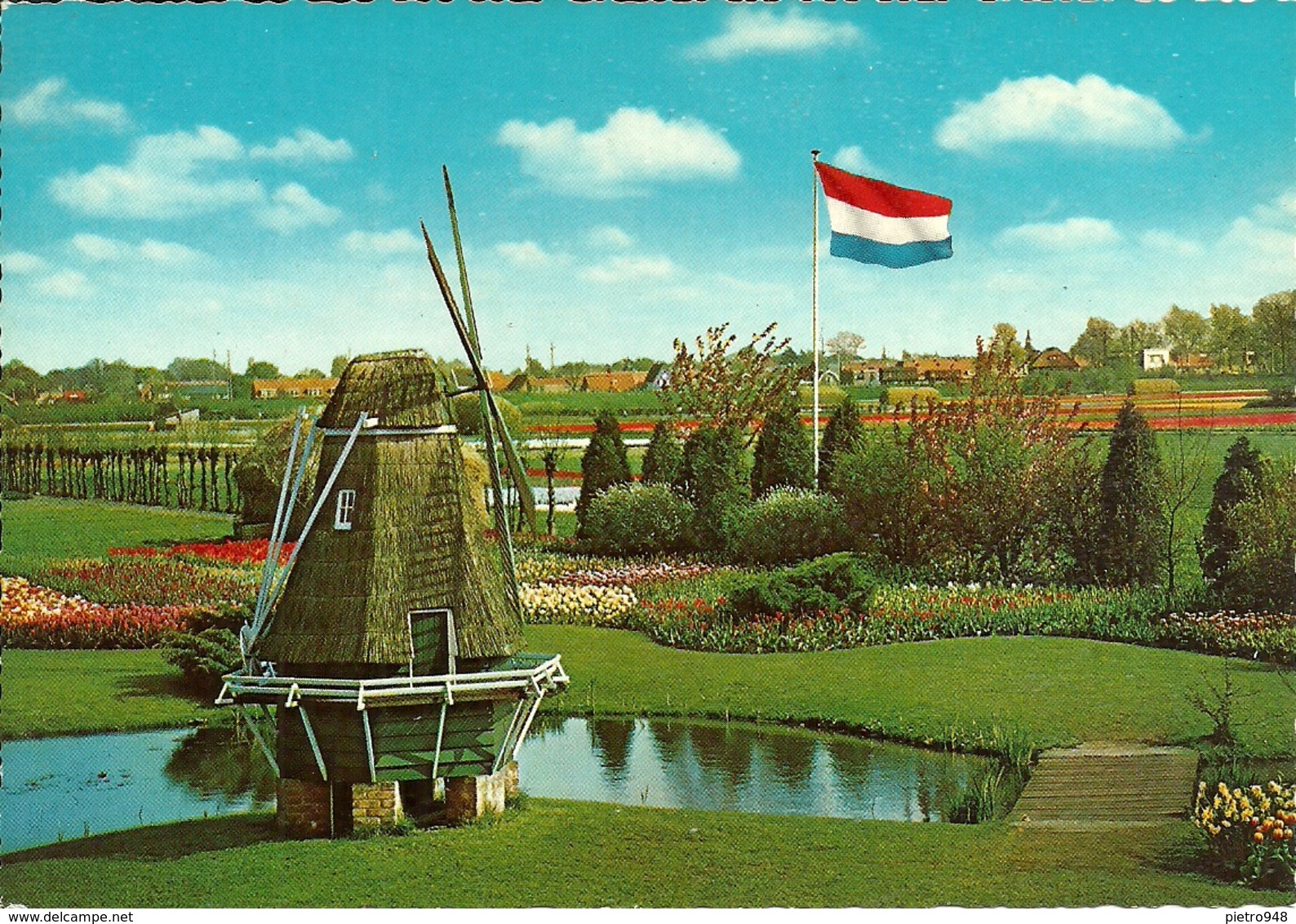 Holland (Paesi Bassi) Bloomenland, Molenland, Land Of Flowers And Wind-Mills, Mulino A Vento - Altri & Non Classificati