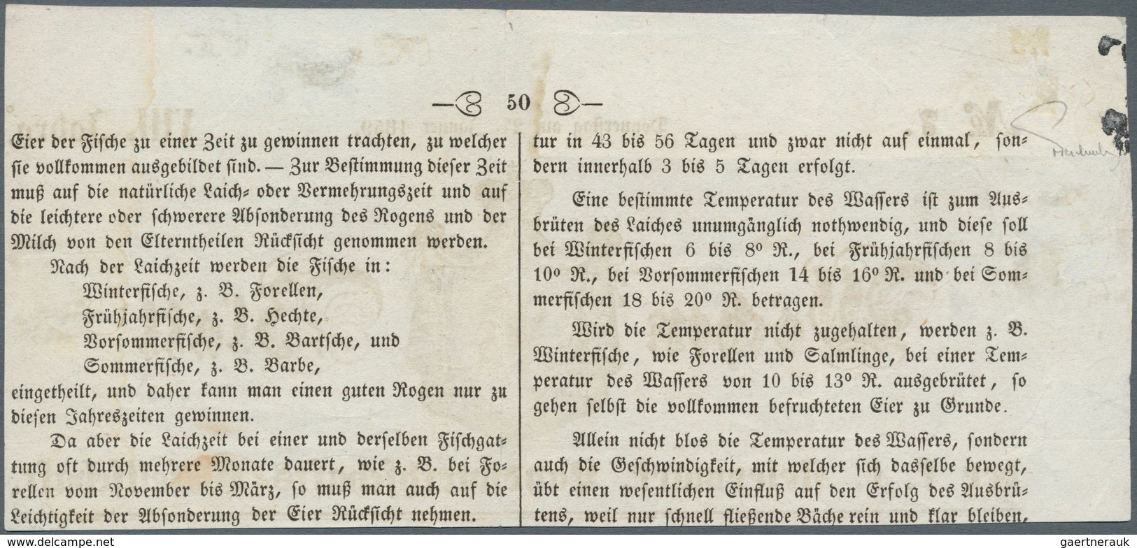 Österreich: 1858, (1,05 Kreuzer) Dunkelblau Zeitungsmarke, Type I, Allseits Voll- Bis überrandig, En - Andere & Zonder Classificatie