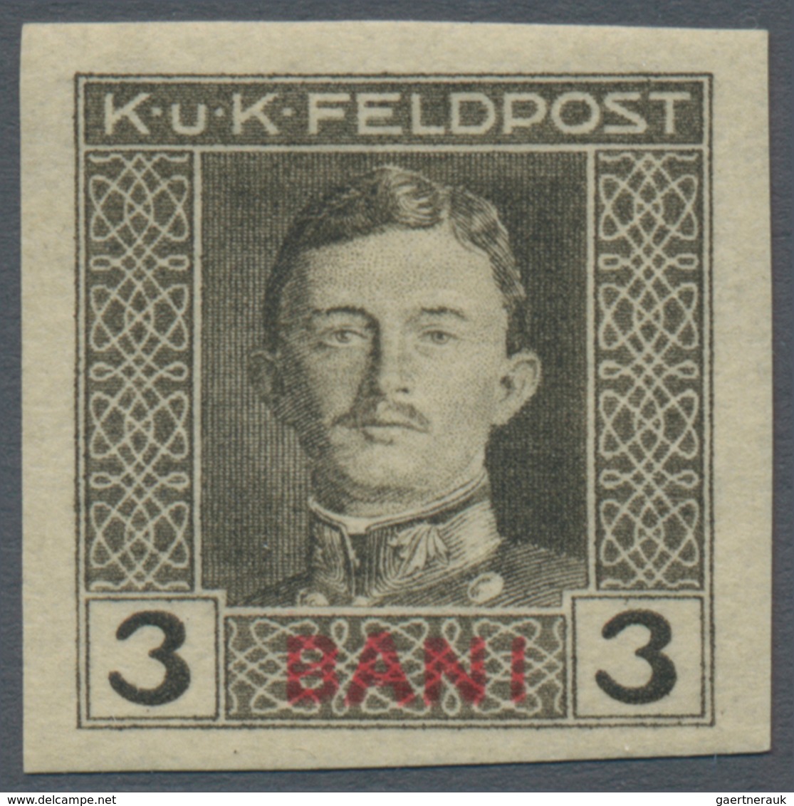 Österreichisch-Ungarische Feldpost - Rumänien: 1917, Siebzehn UNGEZÄHNTE Marken Kaiser Karl 1 H Bis - Sonstige & Ohne Zuordnung