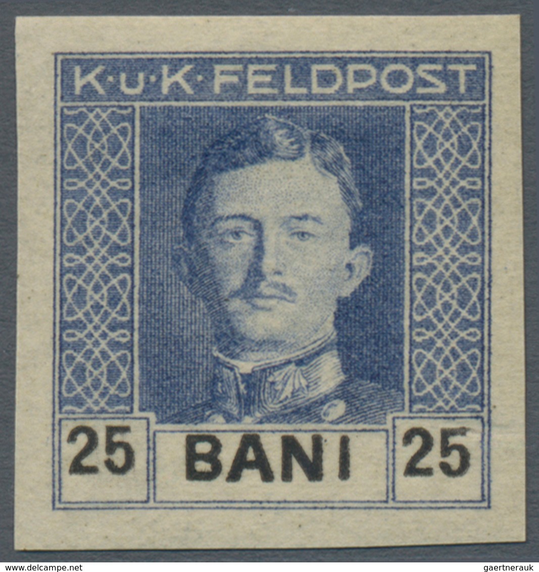 Österreichisch-Ungarische Feldpost - Rumänien: 1918, Kaiser Karl 3 Bani Bis 4 Lei Kompletter UNGEZÄH - Other & Unclassified