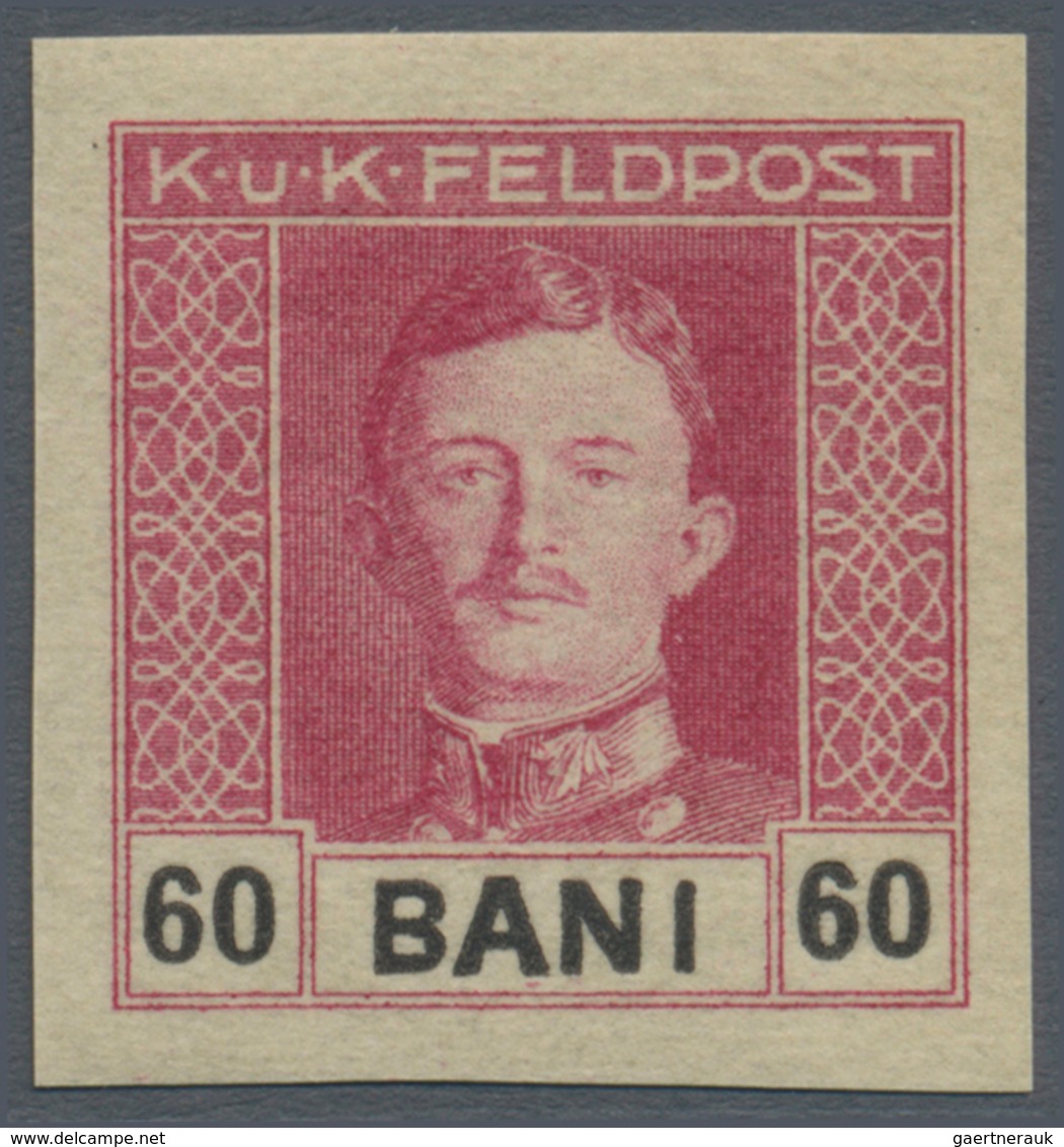 Österreichisch-Ungarische Feldpost - Rumänien: 1918, Kaiser Karl 3 Bani bis 4 Lei kompletter UNGEZÄH