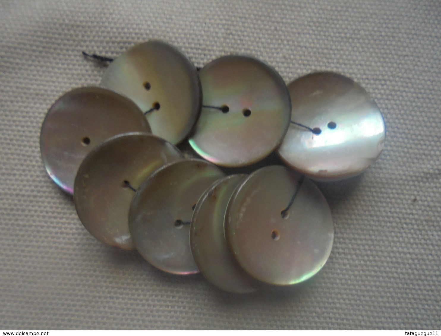 Vintage - Petit Lot De 8 Boutons En Nacre Années 50 - Boutons