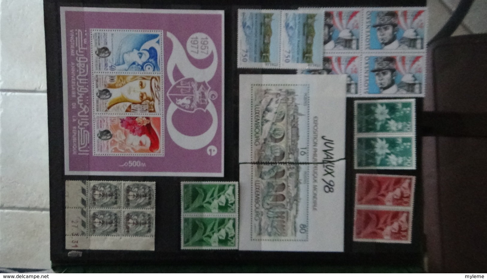 Collection de timbres et blocs ** de tous pays dont quelques blocs de Tunisie. A saisir !!!