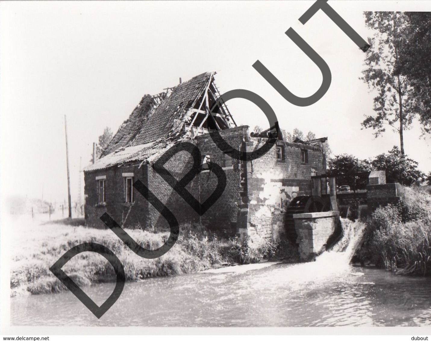 Rotselaar Molen/Moulin Foto E55 - Rotselaar