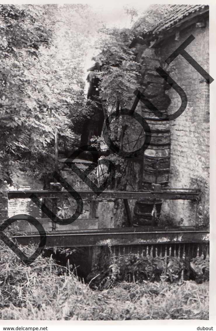 Machelen Molen/Moulin Foto E58 - Machelen