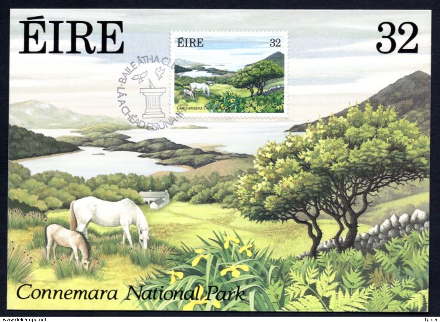 1989 IRELAND NATIONAL PARKS GARDENS CONNEMARA MAXIMUM CARD - Maximumkarten